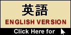 English Version