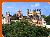 Meenakshi Temple, Madurai