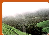 Munnar