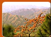 Northern India